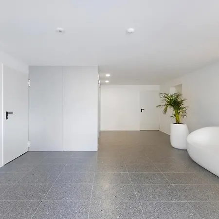 Modern @ Palácio De Cristal Apartamento